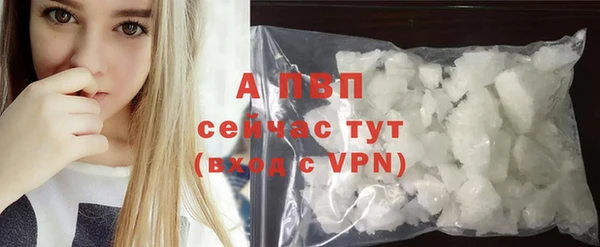 мяу мяу мука Волоколамск
