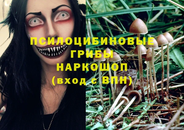 мяу мяу мука Волоколамск