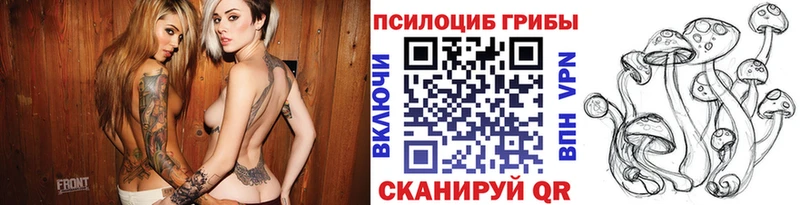 Псилоцибиновые грибы Psilocybine cubensis  omg ТОР  Выкса  купить  цена 