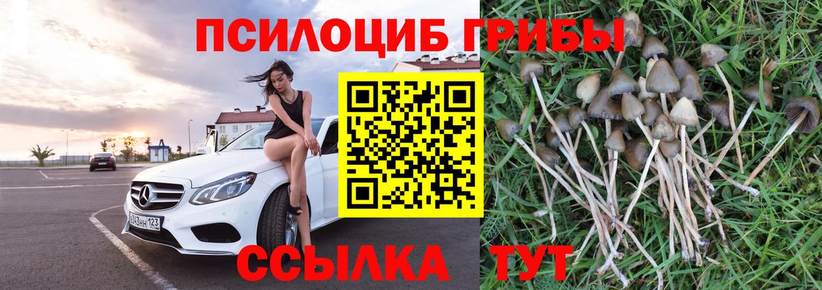 Галлюциногенные грибы MAGIC MUSHROOMS Выкса