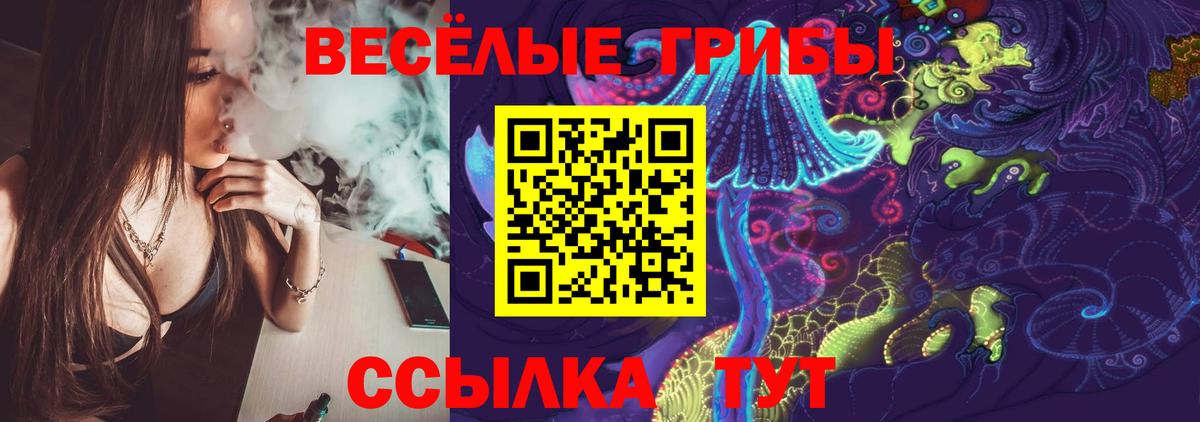 купить наркотик  Вход с VPN  Выкса  Галлюциногенные грибы ЛСД 