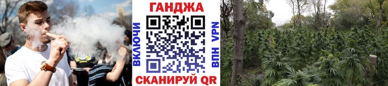 сколько стоит  Выкса  Бошки Шишки White Widow 